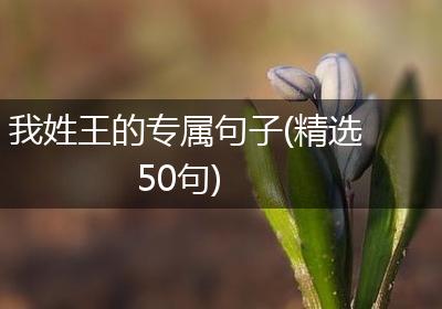 我姓王的专属句子(精选50句)
