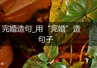 完婚造句_用“完婚”造句子