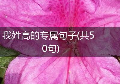 我姓高的专属句子(共50句)