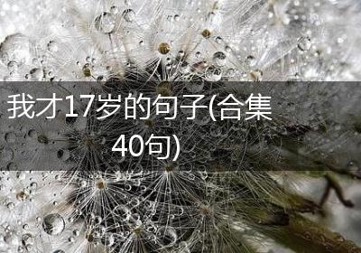 我才17岁的句子(合集40句)