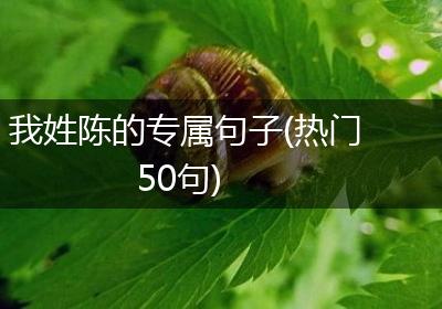 我姓陈的专属句子(热门50句)