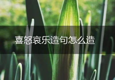 喜怒哀乐造句怎么造