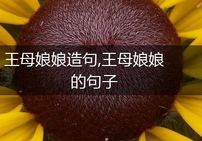 王母娘娘造句,王母娘娘的句子