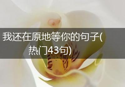 我还在原地等你的句子(热门43句)