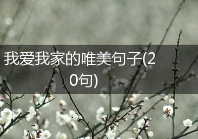 我爱我家的唯美句子(20句)