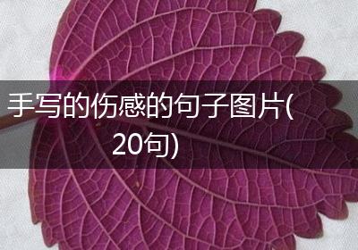 手写的伤感的句子图片(20句)