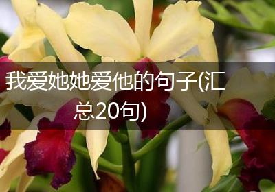 我爱她她爱他的句子(汇总20句)