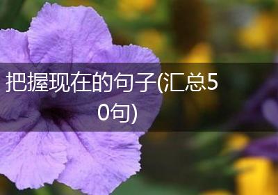 把握现在的句子(汇总50句)