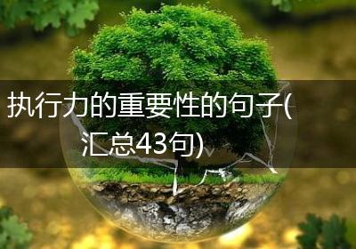 执行力的重要性的句子(汇总43句)