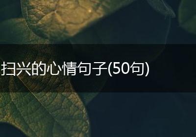 扫兴的心情句子(50句)