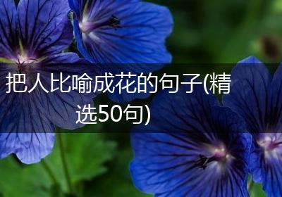 把人比喻成花的句子(精选50句)