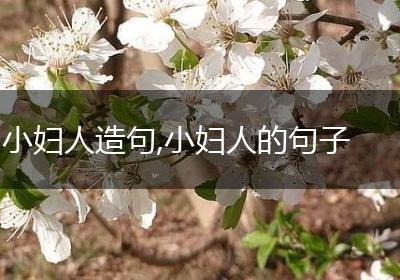 小妇人造句,小妇人的句子