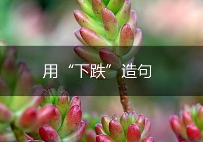 用“下跌”造句