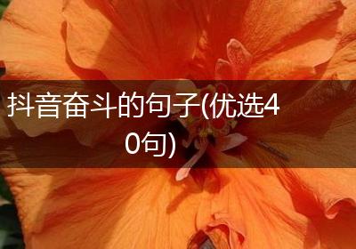 抖音奋斗的句子(优选40句)