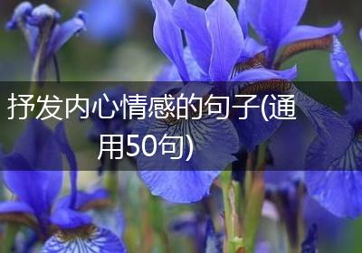 抒发内心情感的句子(通用50句)