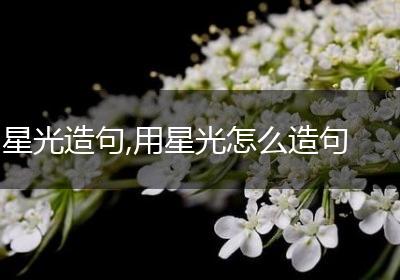星光造句,用星光怎么造句
