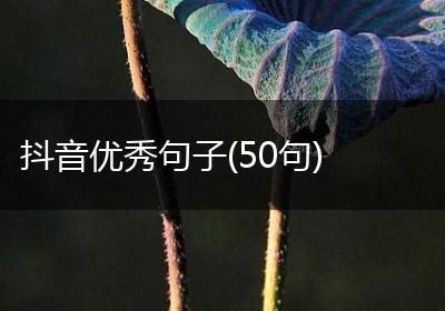 抖音优秀句子(50句)