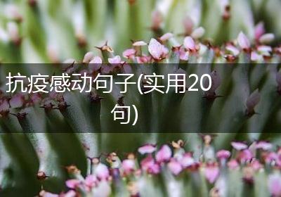 抗疫感动句子(实用20句)