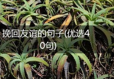 挽回友谊的句子(优选40句)