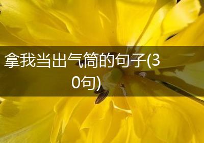 拿我当出气筒的句子(30句)