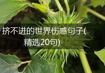 挤不进的世界伤感句子(精选20句)