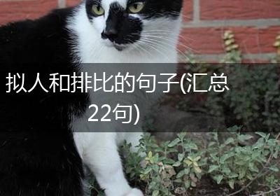 拟人和排比的句子(汇总22句)