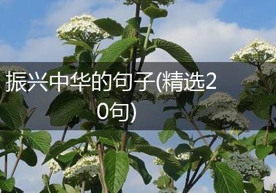 振兴中华的句子(精选20句)