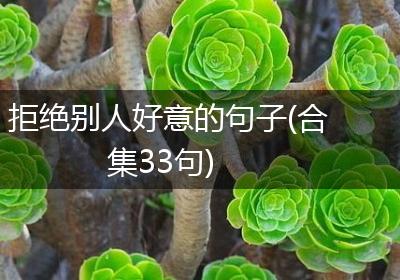 拒绝别人好意的句子(合集33句)