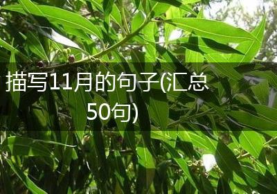 描写11月的句子(汇总50句)