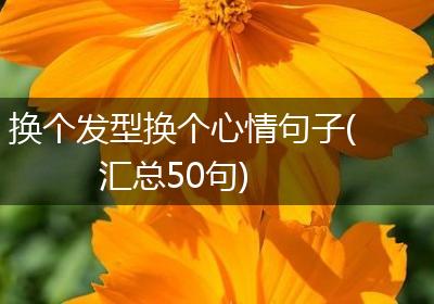 换个发型换个心情句子(汇总50句)