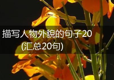 描写人物外貌的句子20(汇总20句)