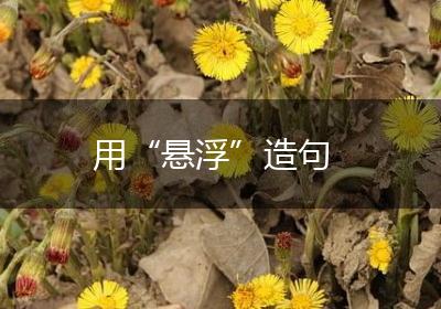 用“悬浮”造句
