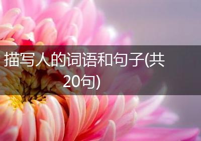 描写人的词语和句子(共20句)