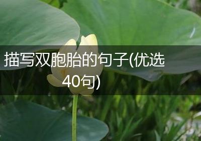 描写双胞胎的句子(优选40句)