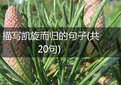 描写凯旋而归的句子(共20句)