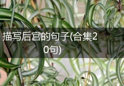 描写后宫的句子(合集20句)