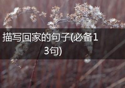 描写回家的句子(必备13句)