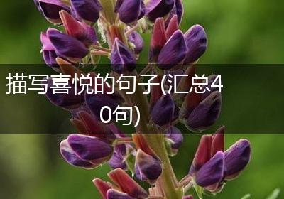 描写喜悦的句子(汇总40句)