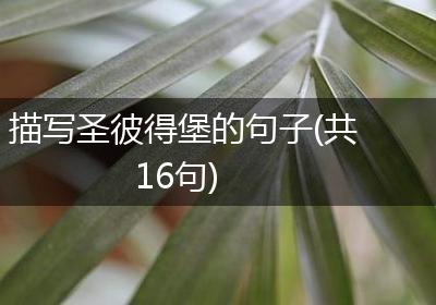 描写圣彼得堡的句子(共16句)