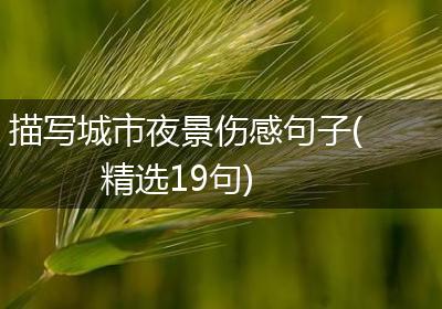 描写城市夜景伤感句子(精选19句)