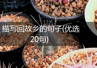描写回故乡的句子(优选20句)