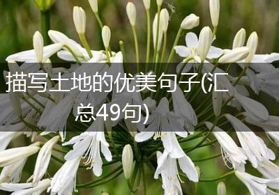 描写土地的优美句子(汇总49句)