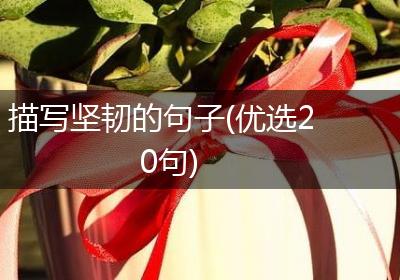 描写坚韧的句子(优选20句)