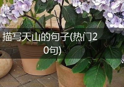 描写天山的句子(热门20句)