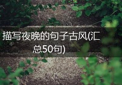 描写夜晚的句子古风(汇总50句)
