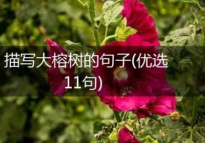 描写大榕树的句子(优选11句)