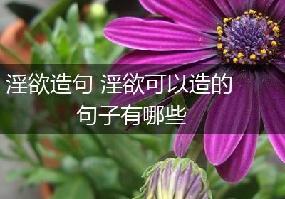 淫欲造句 淫欲可以造的句子有哪些
