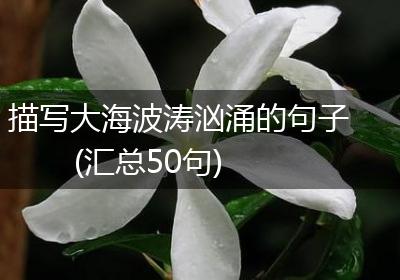 描写大海波涛汹涌的句子(汇总50句)