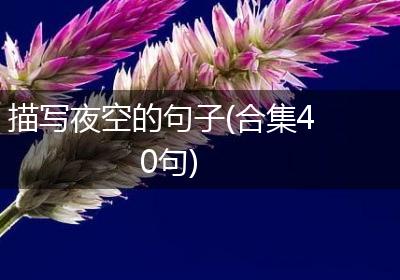 描写夜空的句子(合集40句)