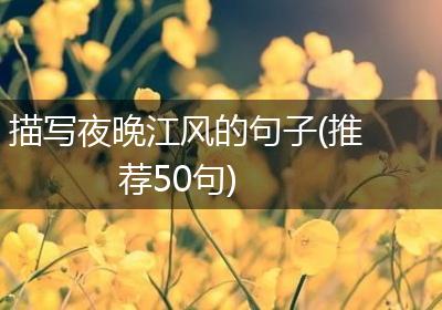 描写夜晚江风的句子(推荐50句)